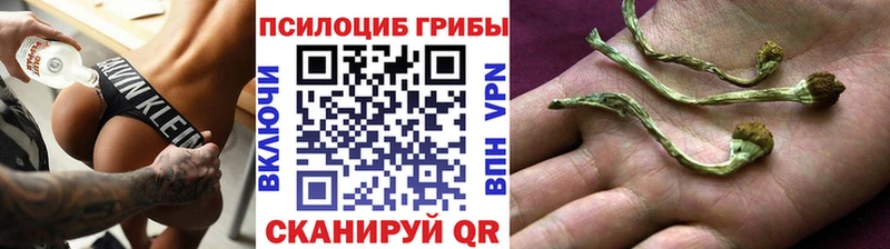Псилоцибиновые грибы мухоморы  сколько стоит  ссылка на мегу зеркало  Дзержинский 