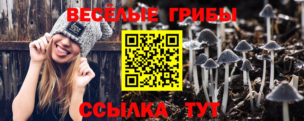 Галлюциногенные грибы Magic Shrooms Дзержинский