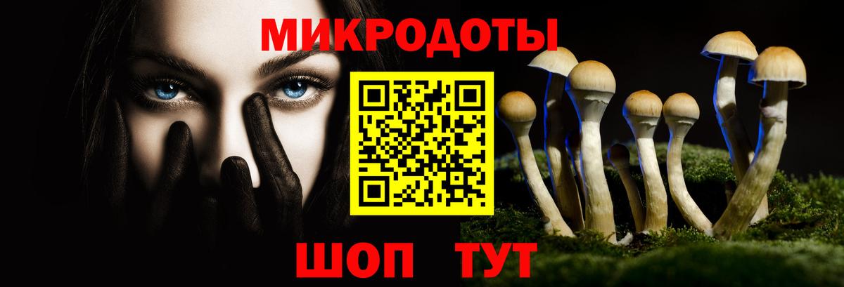 Дзержинский  Псилоцибиновые грибы Psilocybe  Вход с VPN  Псилоцибиновые грибы ЛСД 